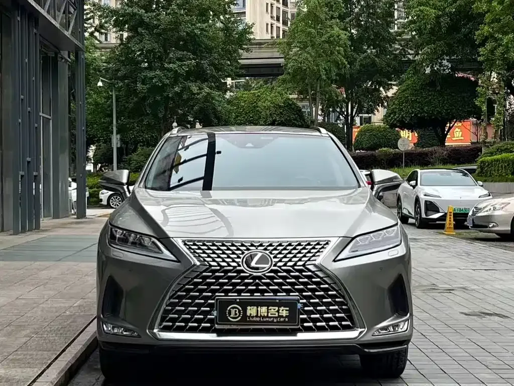 Lexus RX — фото 9