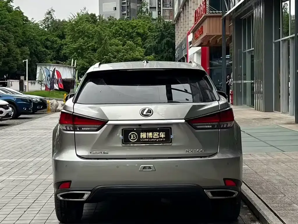 Lexus RX — фото 8