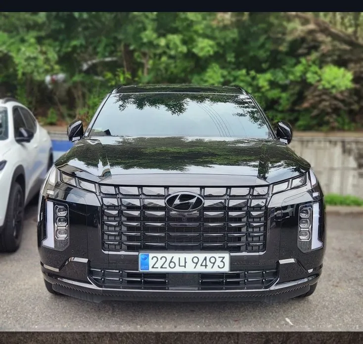 Hyundai Palisade 2024 из KR, фото 1