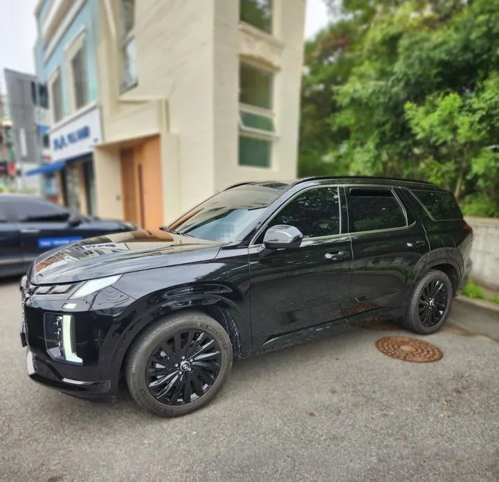 Hyundai Palisade 2024 из KR, фото 7