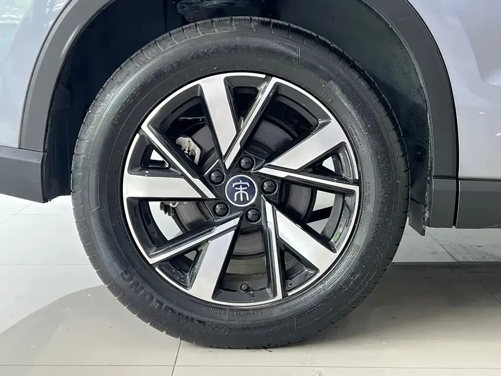 BYD Pro New Energy — фото 10