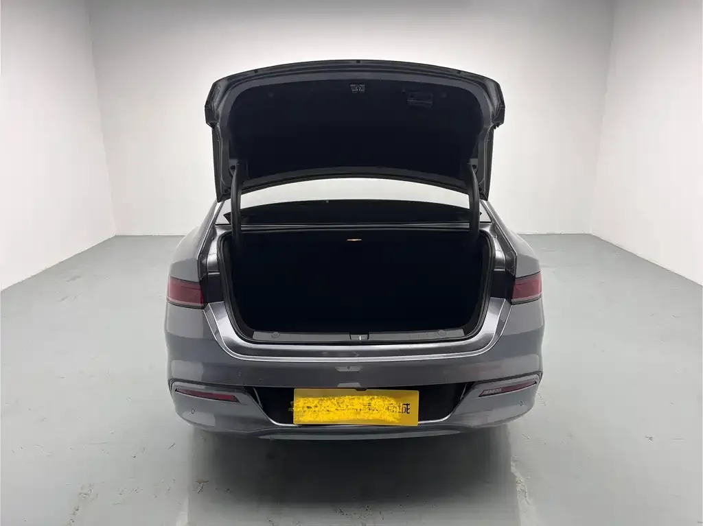 BYD Qin PLUS 2024 из CN, фото 4