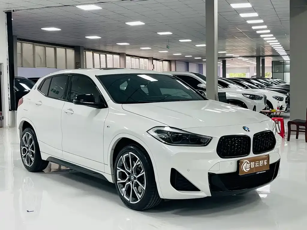 BMW X2 2021 из CN, фото 5