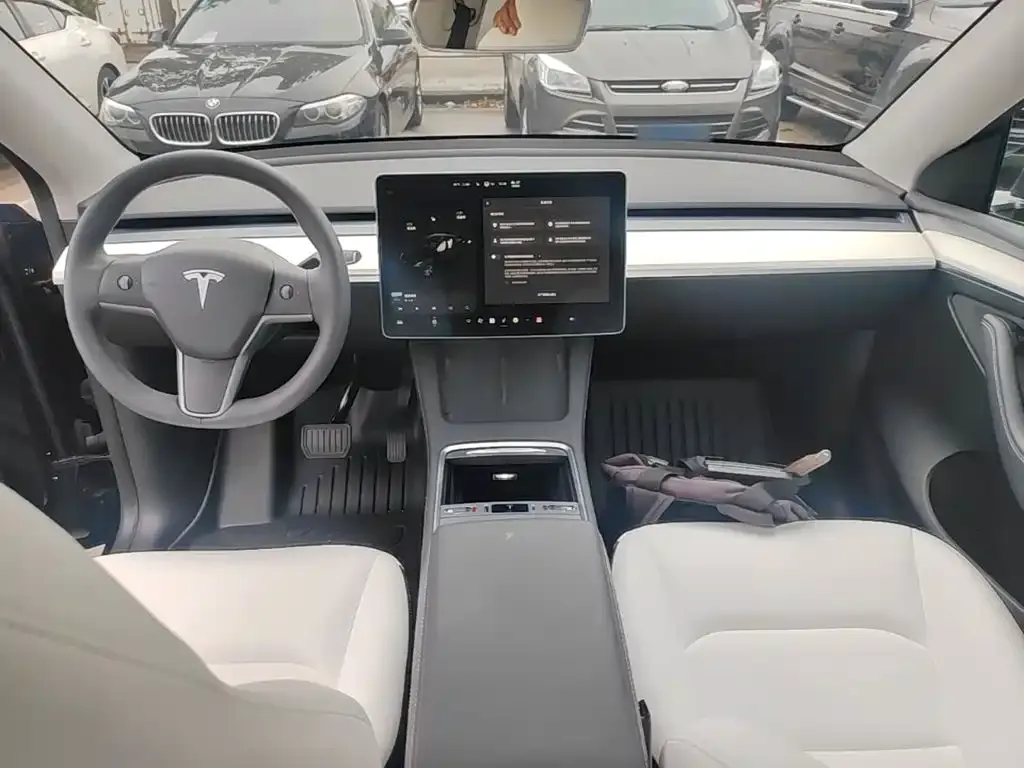 Tesla Model Y — фото 10