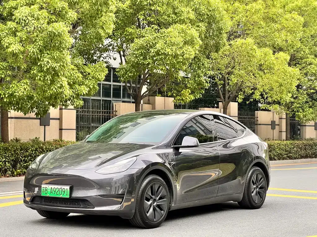 Tesla Model Y — фото 1