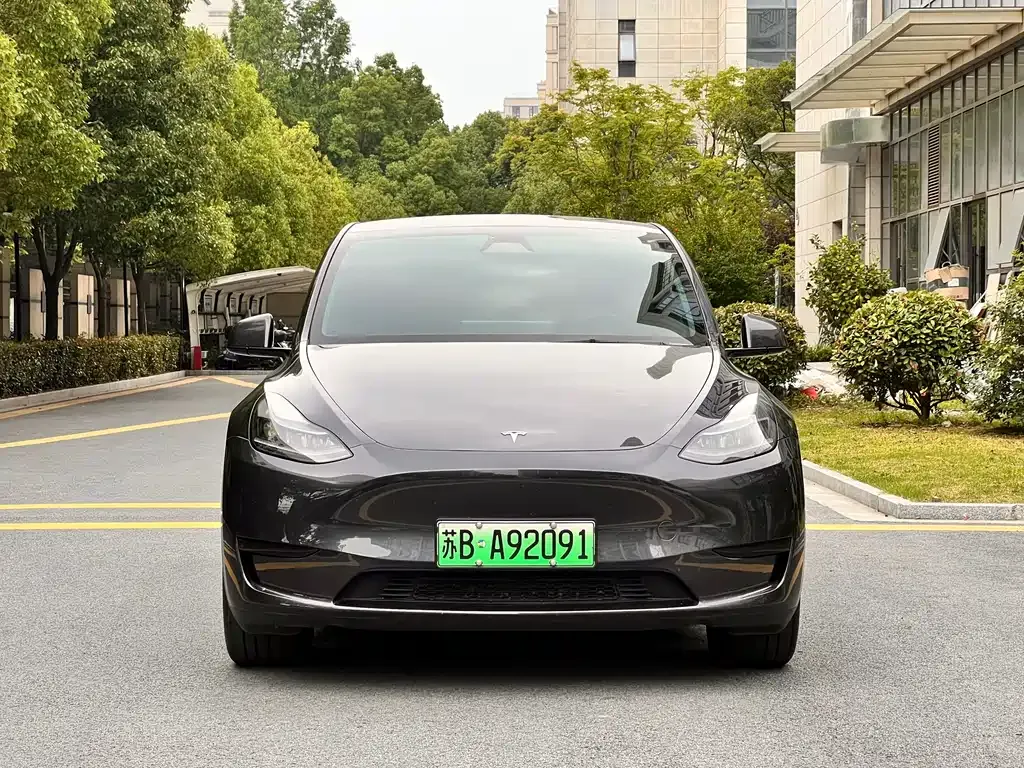 Tesla Model Y — фото 10