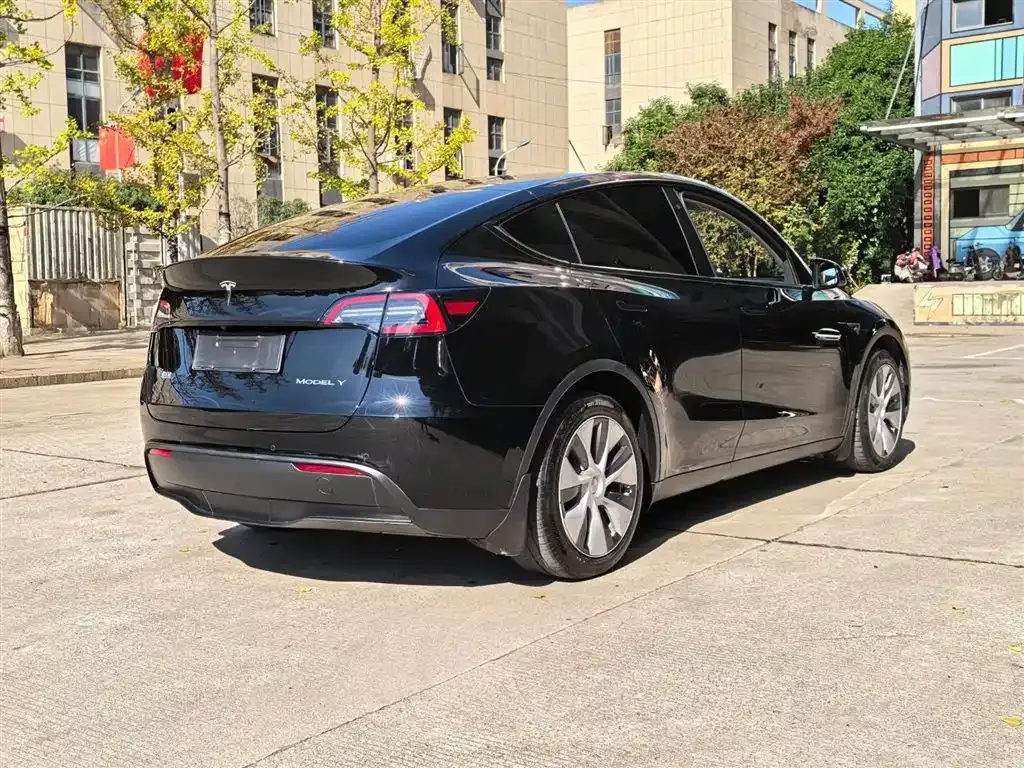 Tesla Model Y — фото 9