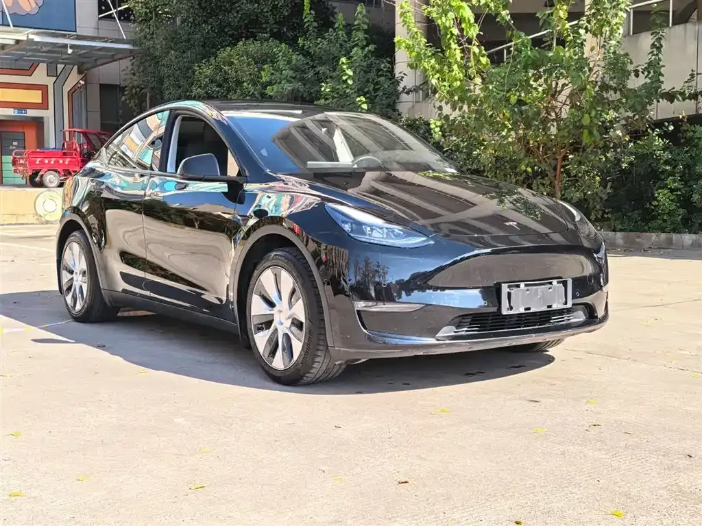 Tesla Model Y — фото 8