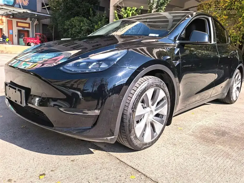 Tesla Model Y — фото 10