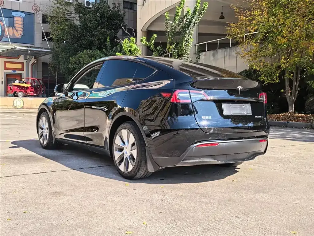 Tesla Model Y — фото 4