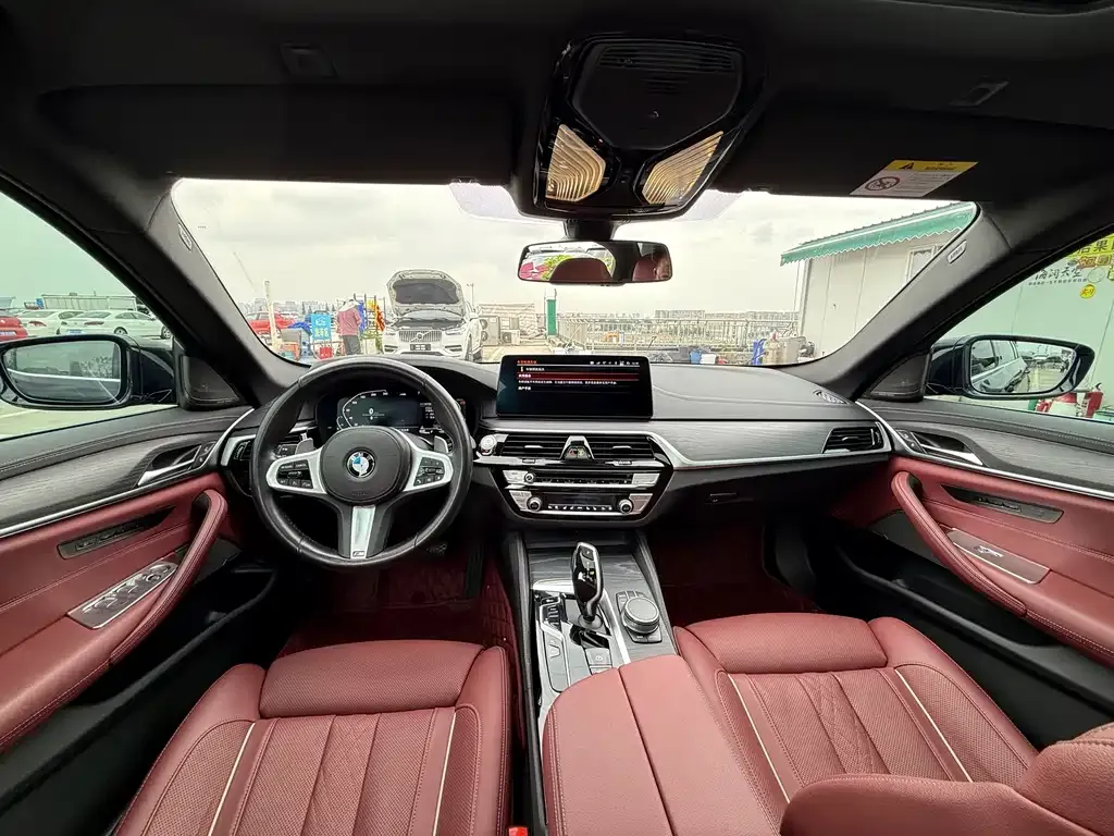 BMW 5 Series 2021 из CN, фото 4