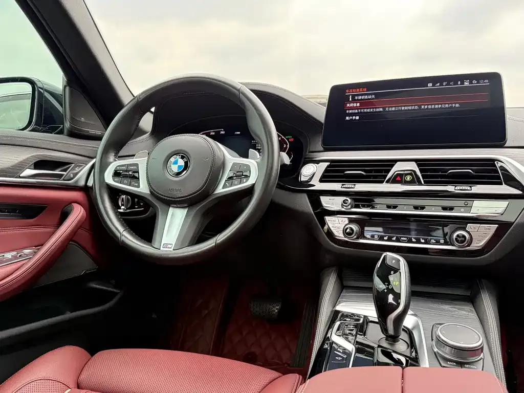 BMW 5 Series 2021 из CN, фото 6