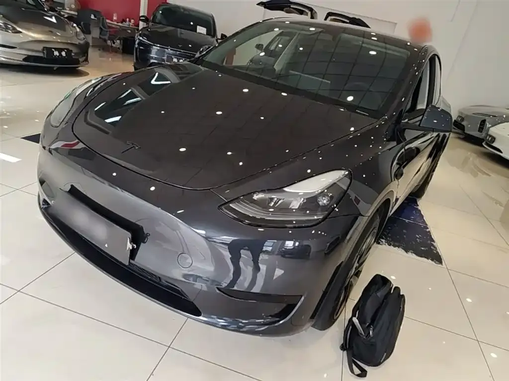 Tesla Model Y — фото 1