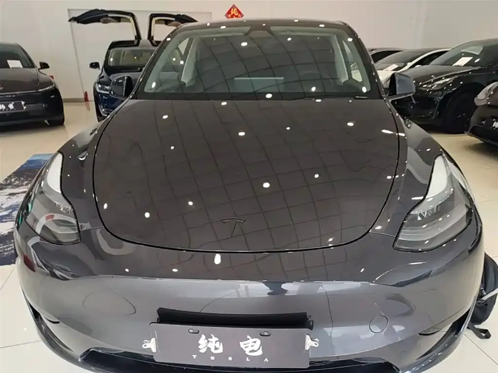 Tesla Model Y — фото 8