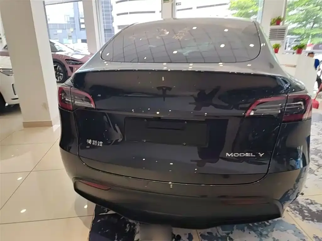 Tesla Model Y — фото 2
