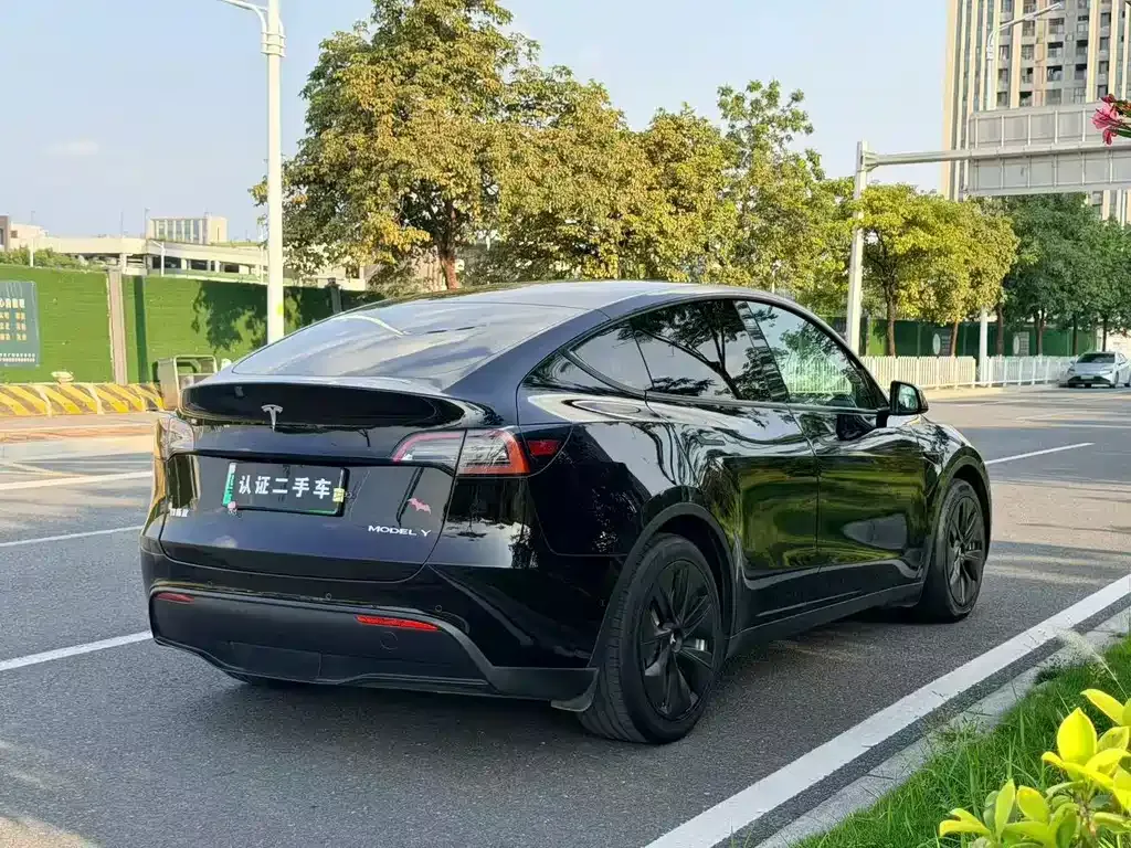 Tesla Model Y — фото 9