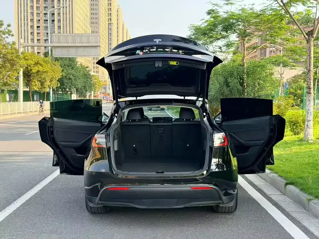 Tesla Model Y — фото 10