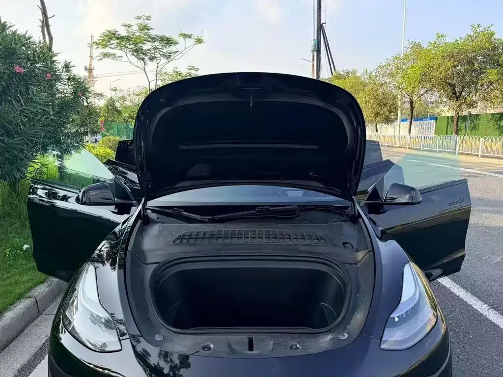 Tesla Model Y — фото 2