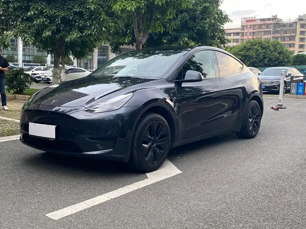 Tesla Model Y — фото 1