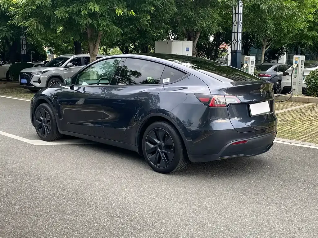Tesla Model Y — фото 9