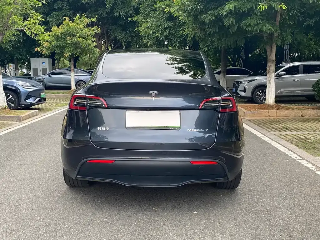 Tesla Model Y — фото 10