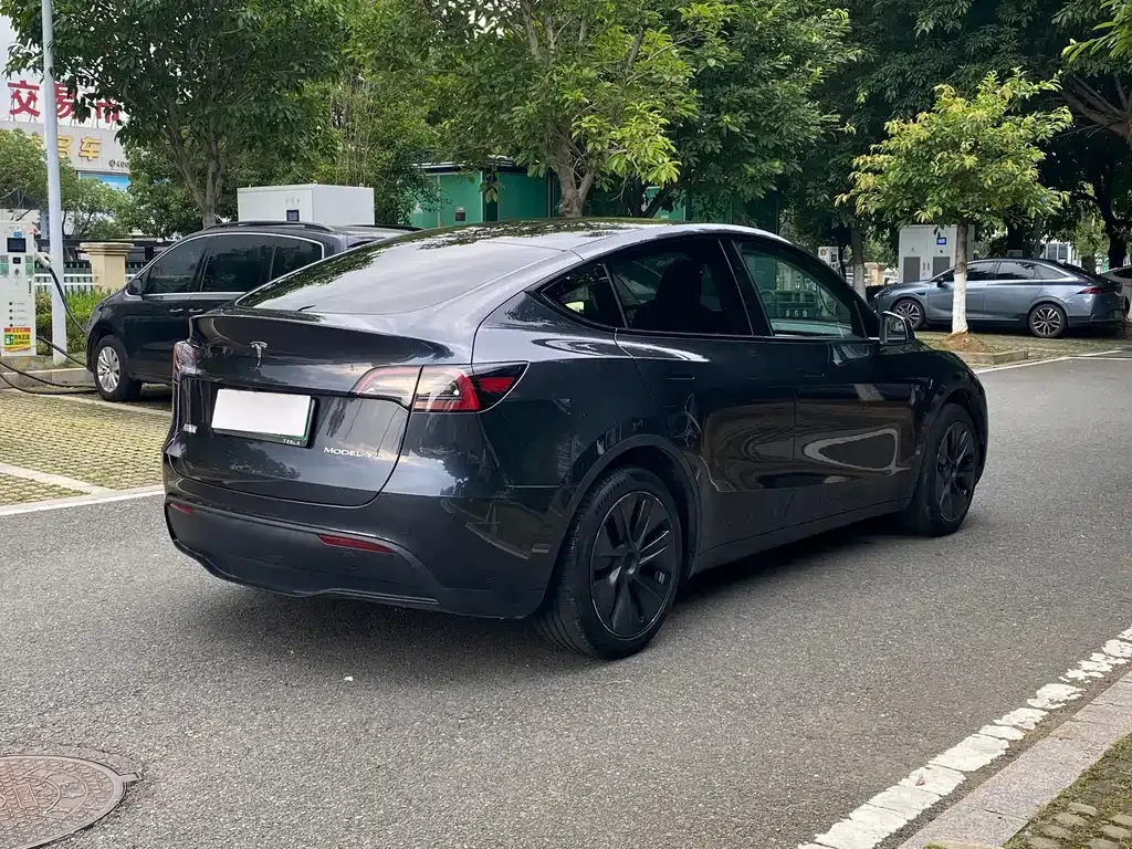 Tesla Model Y — фото 5