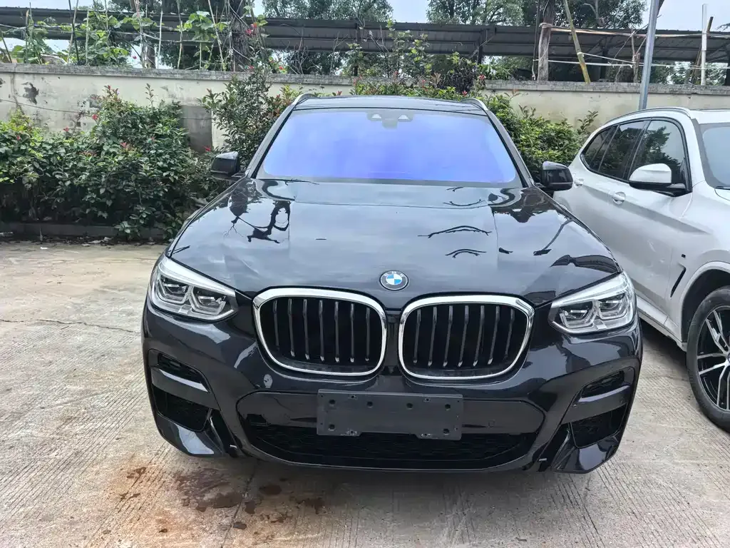 BMW X3 2021 из CN, фото 7