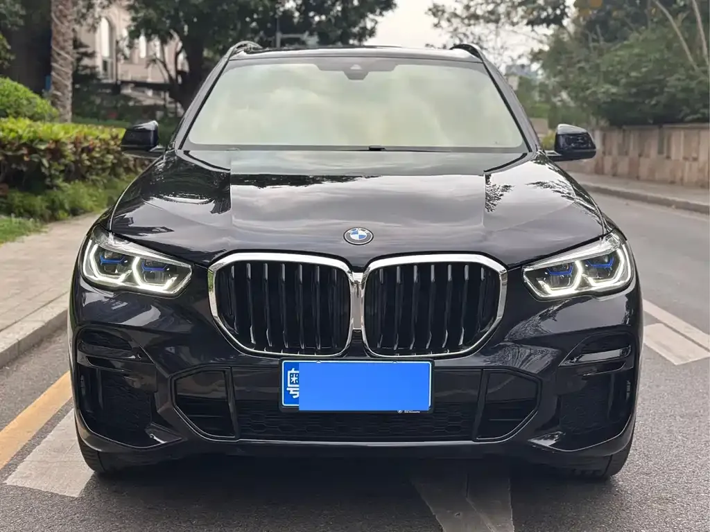 BMW X5 (Import) — фото 3