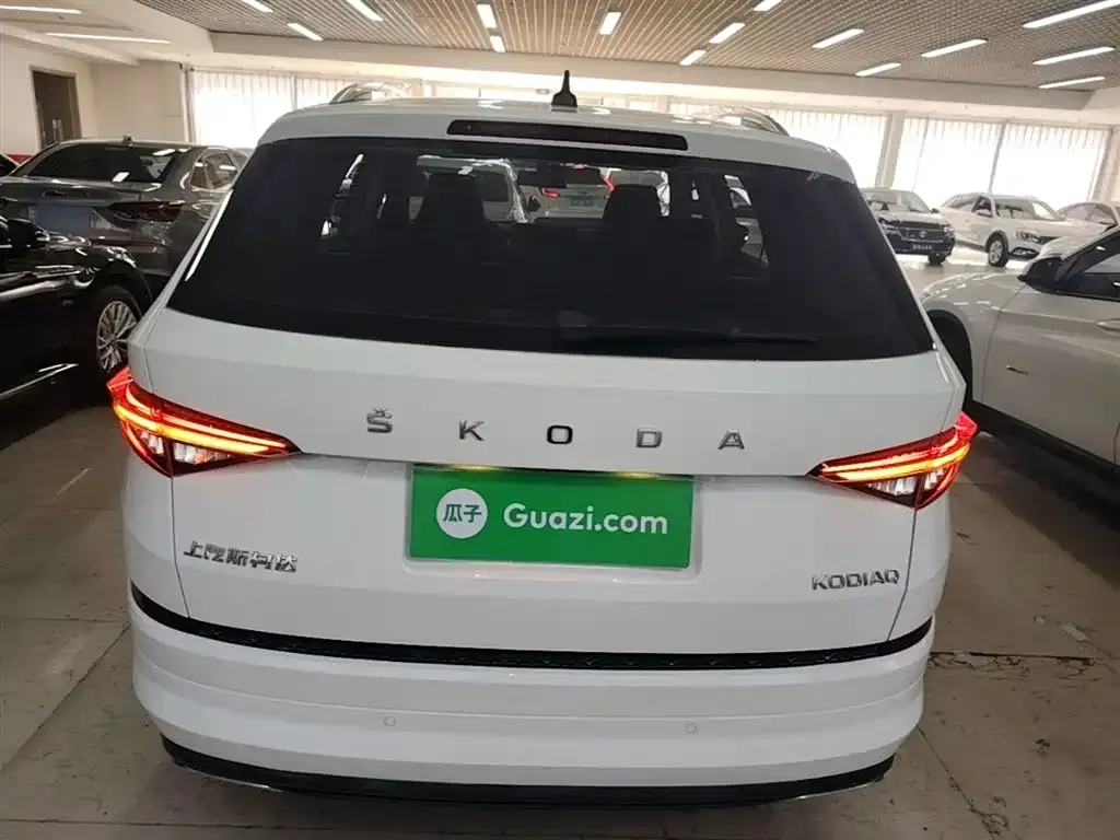 Skoda Kodiaq — фото 6