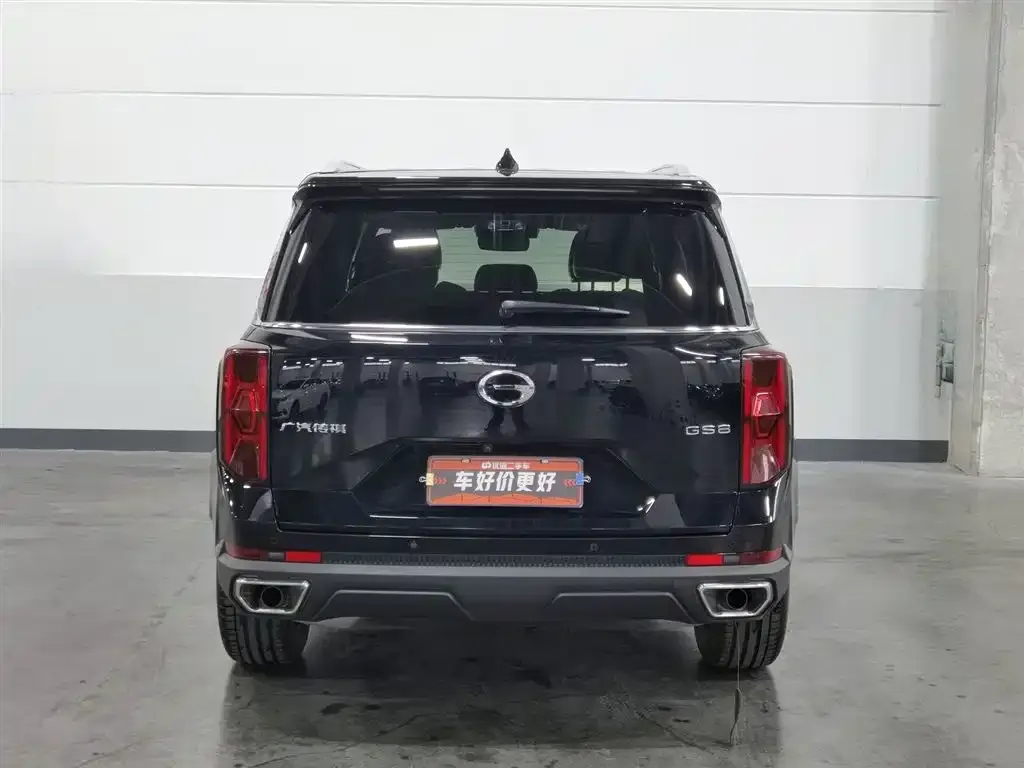 GAC Motor Trumpchi GS8 2024 из CN, фото 2