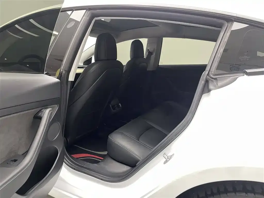 Tesla Model 3 2021 из CN, фото 5
