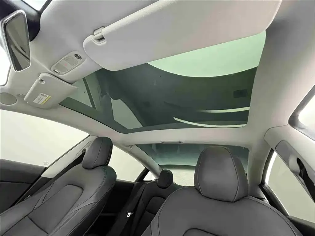 Tesla Model 3 2021 из CN, фото 6