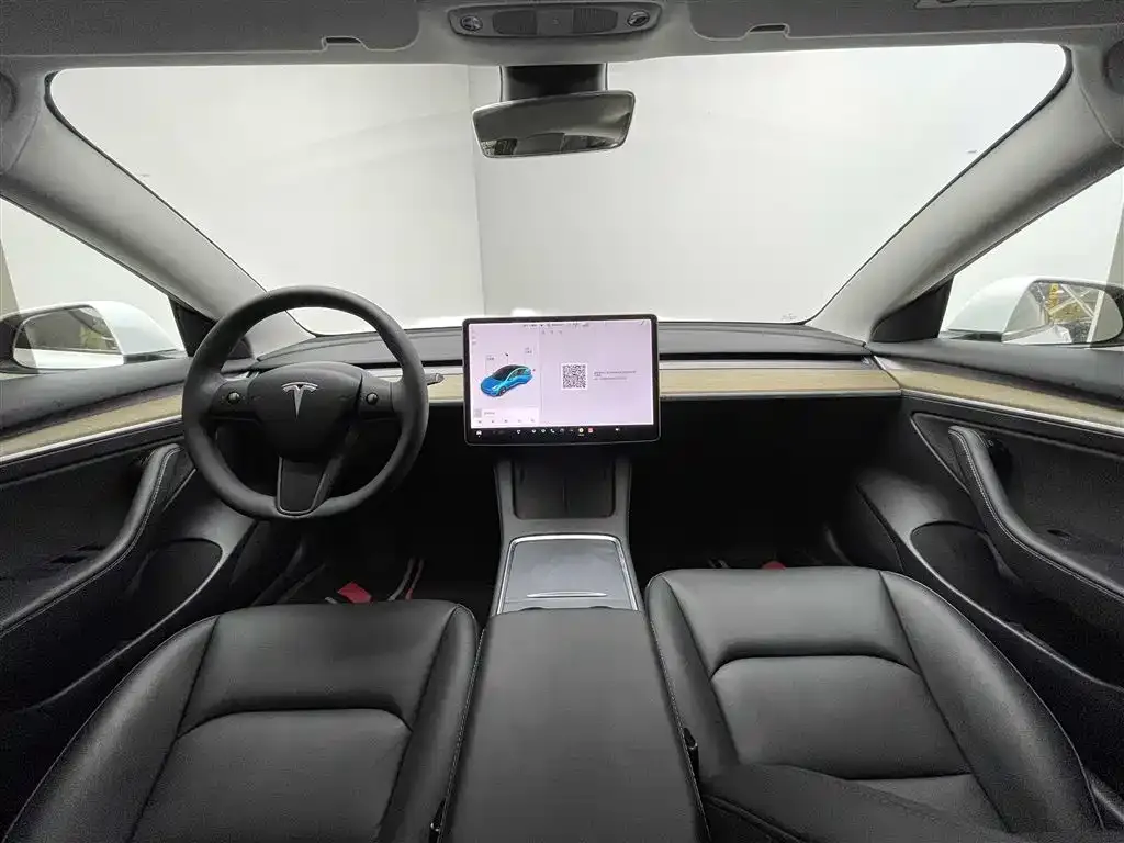 Tesla Model 3 2021 из CN, фото 3