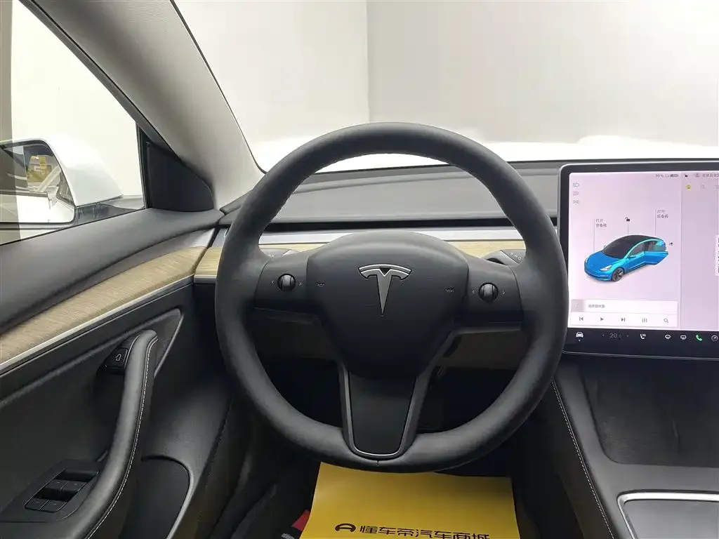 Tesla Model 3 2021 из CN, фото 7