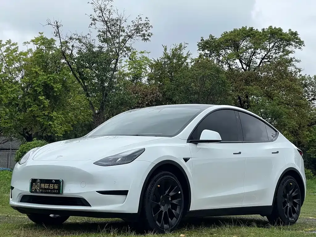 Tesla Model Y — фото 1