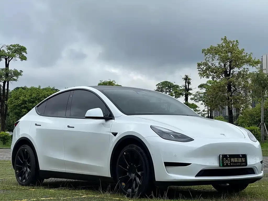 Tesla Model Y — фото 2
