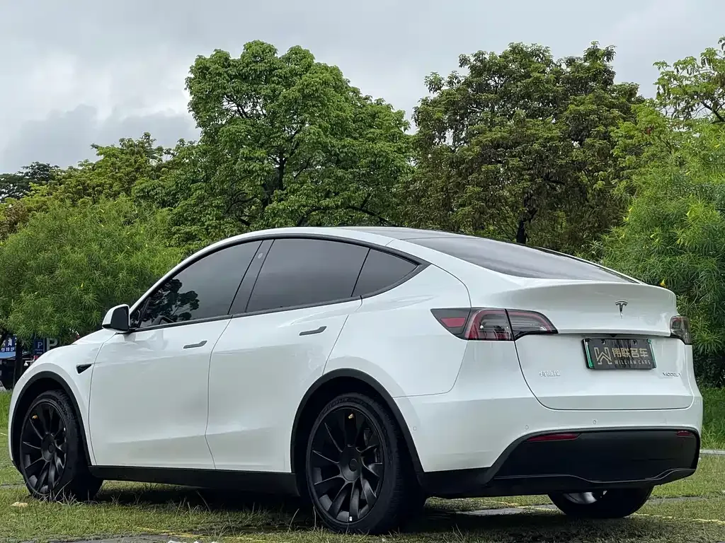 Tesla Model Y — фото 10