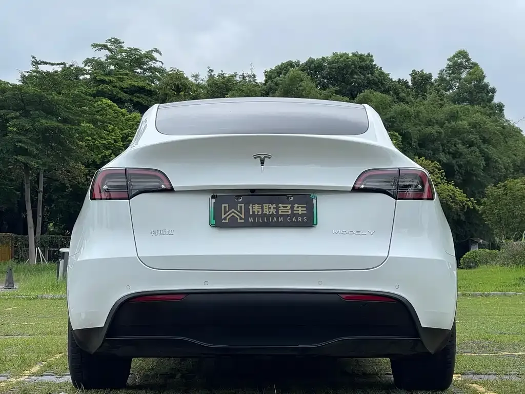 Tesla Model Y — фото 9