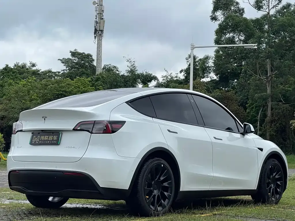 Tesla Model Y — фото 8