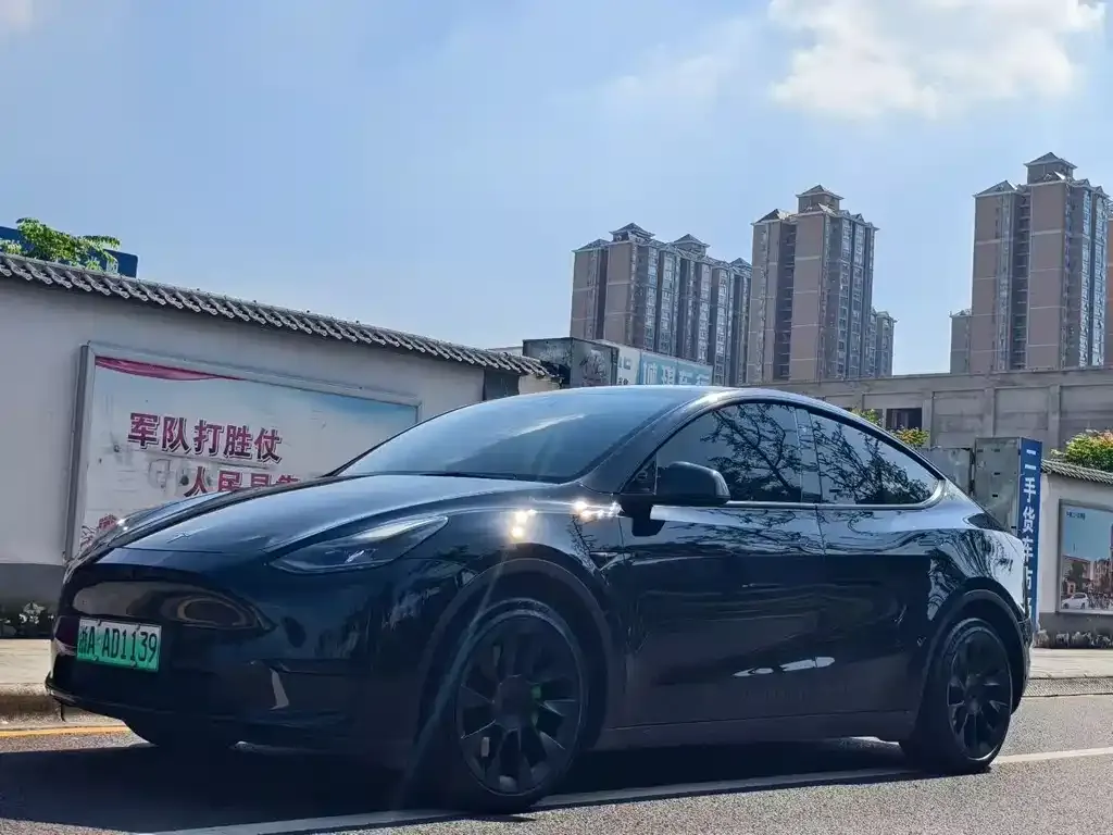 Tesla Model Y — фото 1