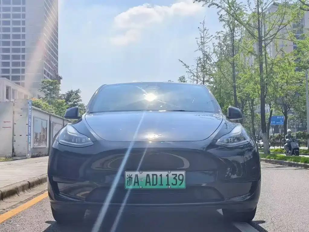 Tesla Model Y — фото 10