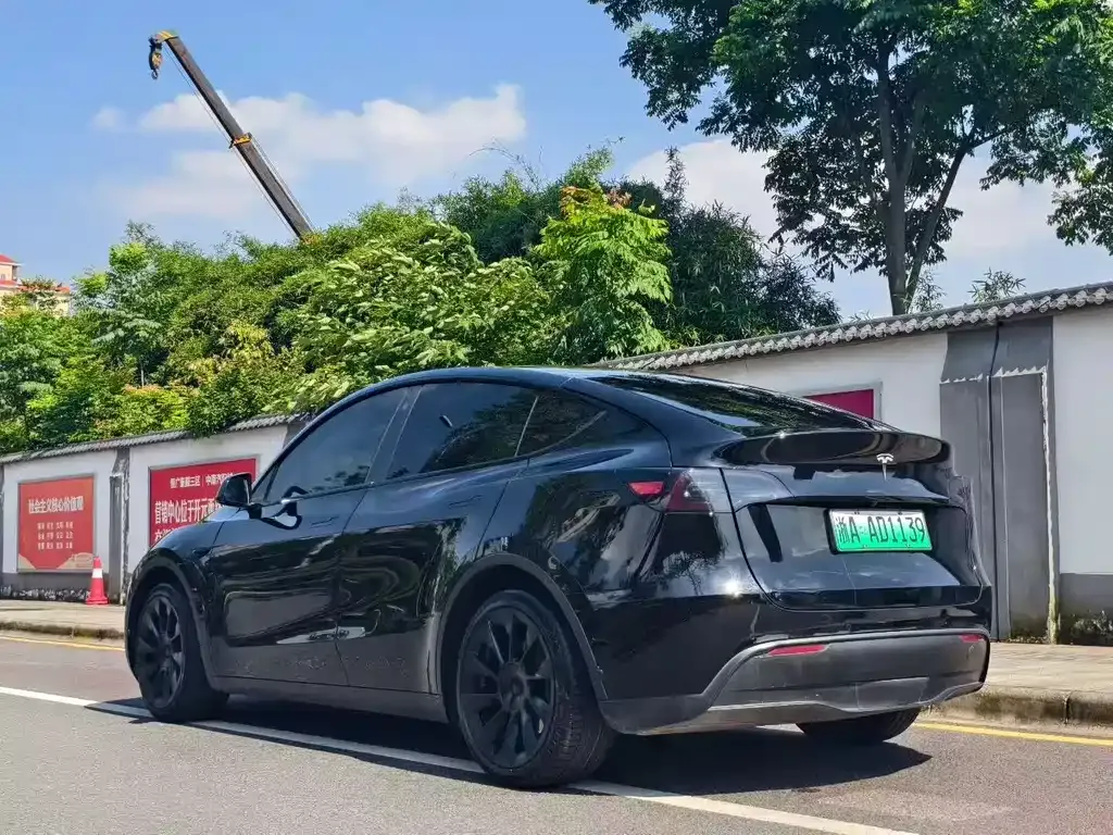 Tesla Model Y — фото 4