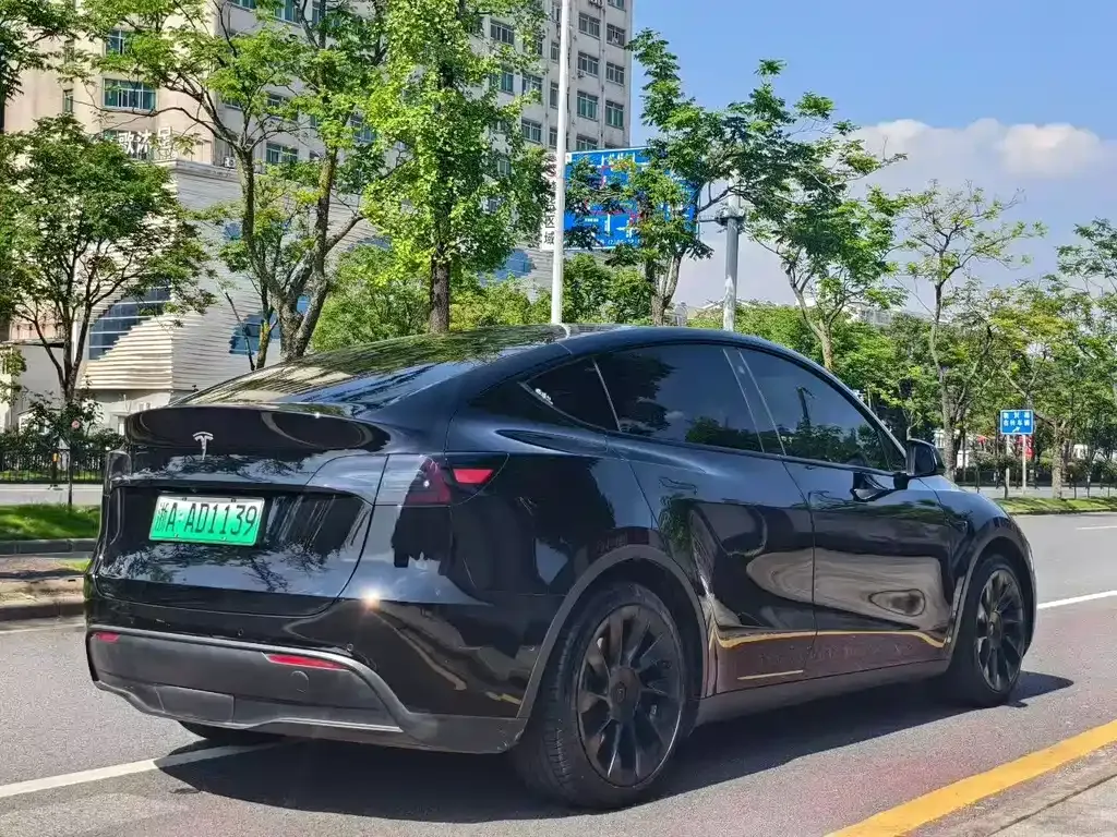 Tesla Model Y — фото 9