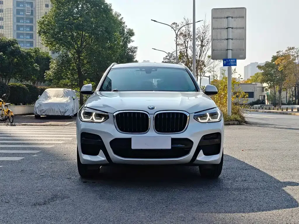 BMW X3 2021 из CN, фото 8