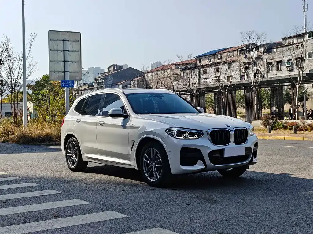 BMW X3 2021 из CN, фото 9
