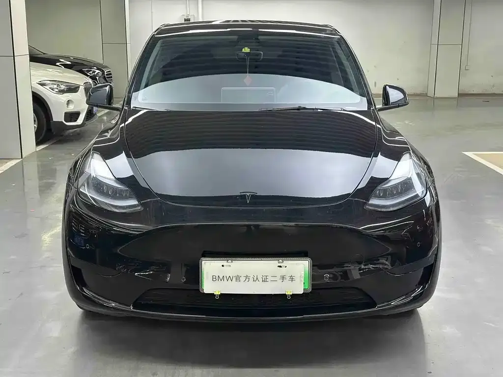 Tesla Model Y — фото 2