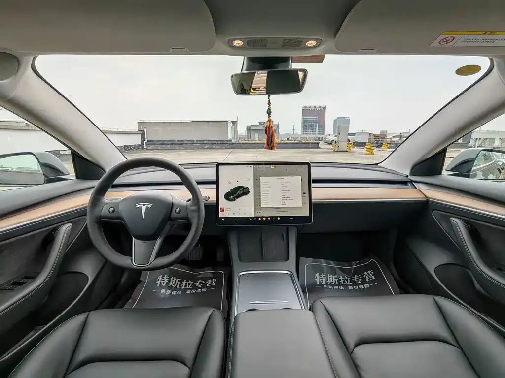 Tesla Model 3 — фото 6