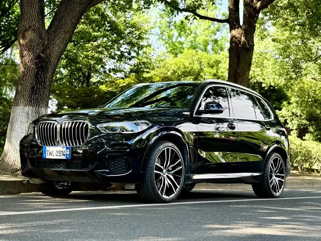 BMW X5 — фото 1