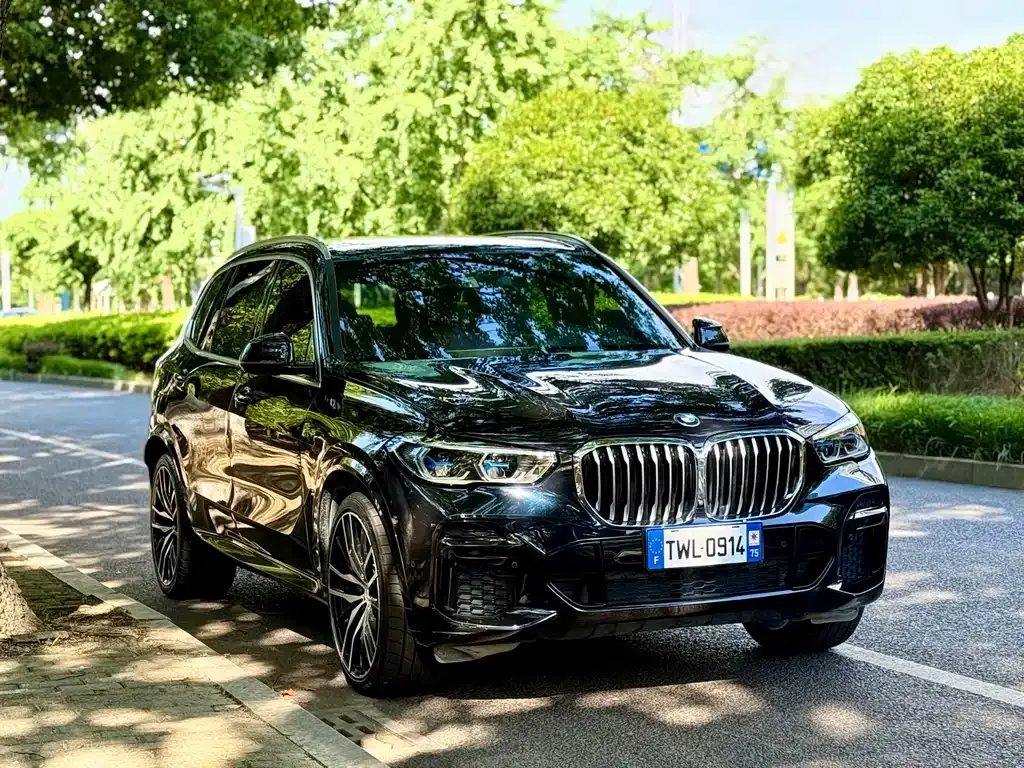 BMW X5 — фото 10