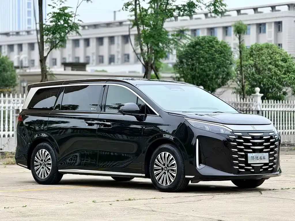 BYD Xia 2025 из CN, фото 6